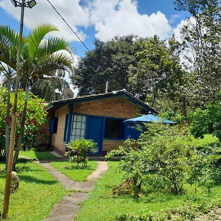 Pousada Balneario Cachoeira Do Moinho Belo Vale Екстериор снимка